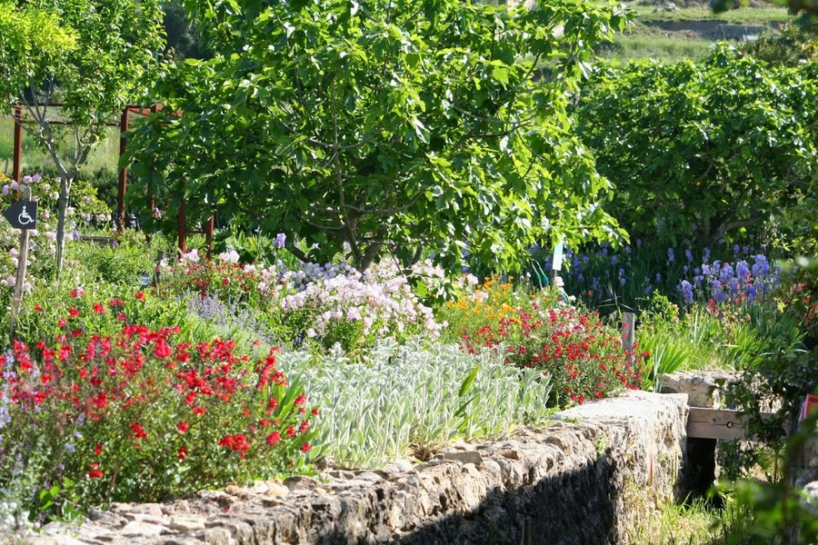 les jardins du musée international de la Parfumerie